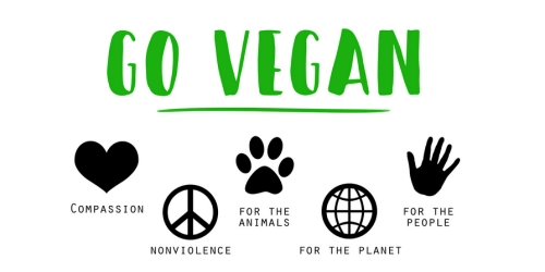 Warum vegan leben die Welt verändern kann