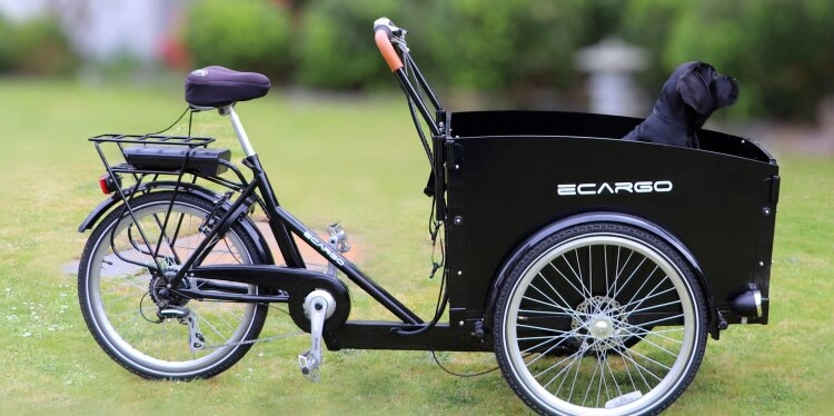 Motorisierter Anhänger macht Fahrrad zum Cargo-E-Bike