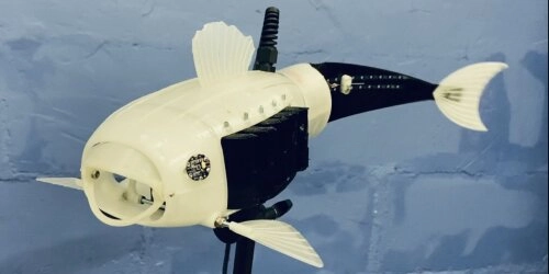 Wie ein Roboter-Fisch die Weltmeere von Mikroplastik befreit