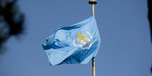 WHO (World Health Organisation)
