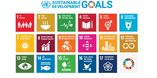 Nachhaltigkeitsziele (SDGs)