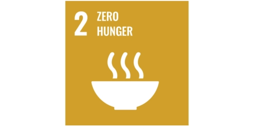 Gegen den Welthunger: Das 2. Nachhaltigkeitsziel der UN