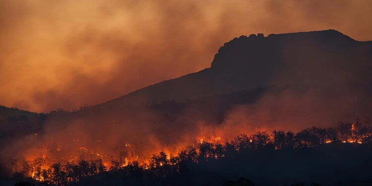 Waldbrand