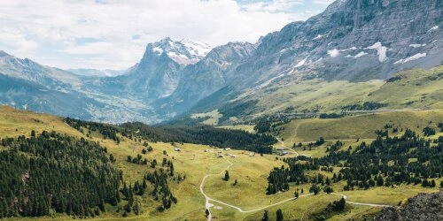 Das EU Nature Restoration Law