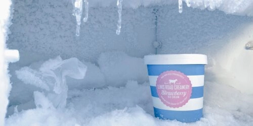 Eiskalt einsparen – so nutzt du deinen Kühlschrank nachhaltig