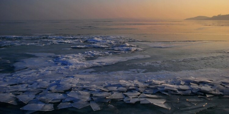 Aufgebrochene Eisschollen schwimmen in der Polarregion