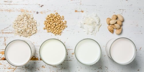 Milch ohne Moo: Pflanzliche Power am Weltpflanzenmilchtag