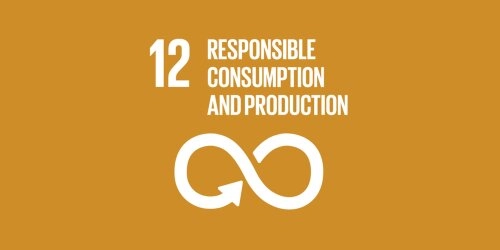 SDG 12:  Nachhaltiger Konsum und Produktion