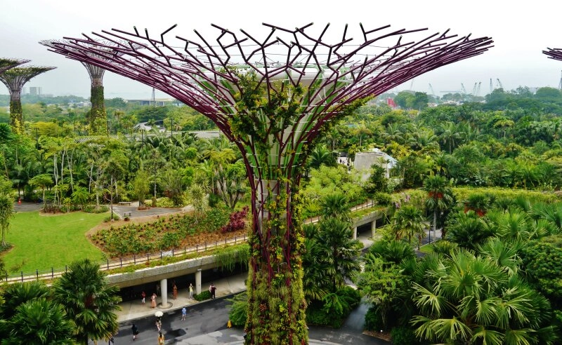 Das Supertree Grove Projekt in Singapur
