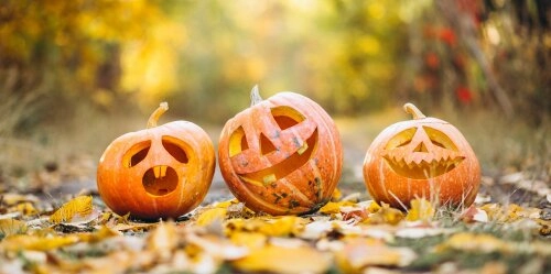 Nachhaltig Gruseln: 5 Tipps für dein Eco-Friendly Halloween