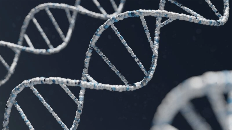 Ein DNA-Strang - Bei Gentechnik wird dieser verändert