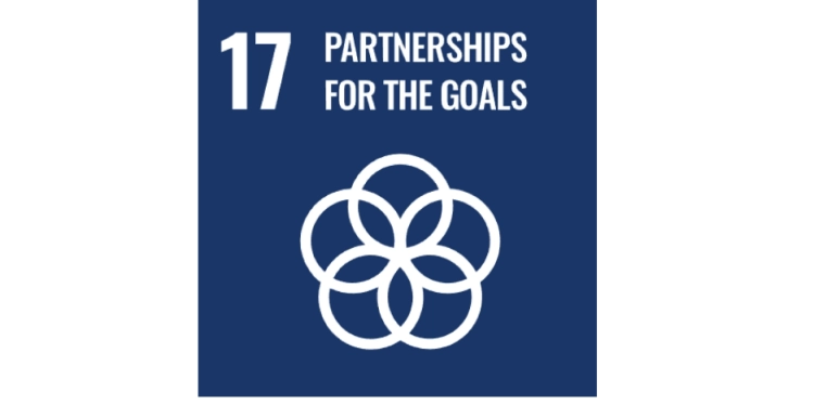 SDG 17: Logo