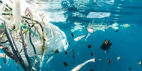 Globale Plastikkrise – Zahlen, Trends und Lösungsansätze