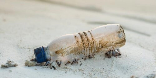Müll an Ostsee-Stränden -  Schuld der Strandbesucher