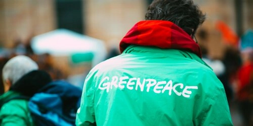 Greenpeace – Im Einsatz für eine nachhaltige Zukunft