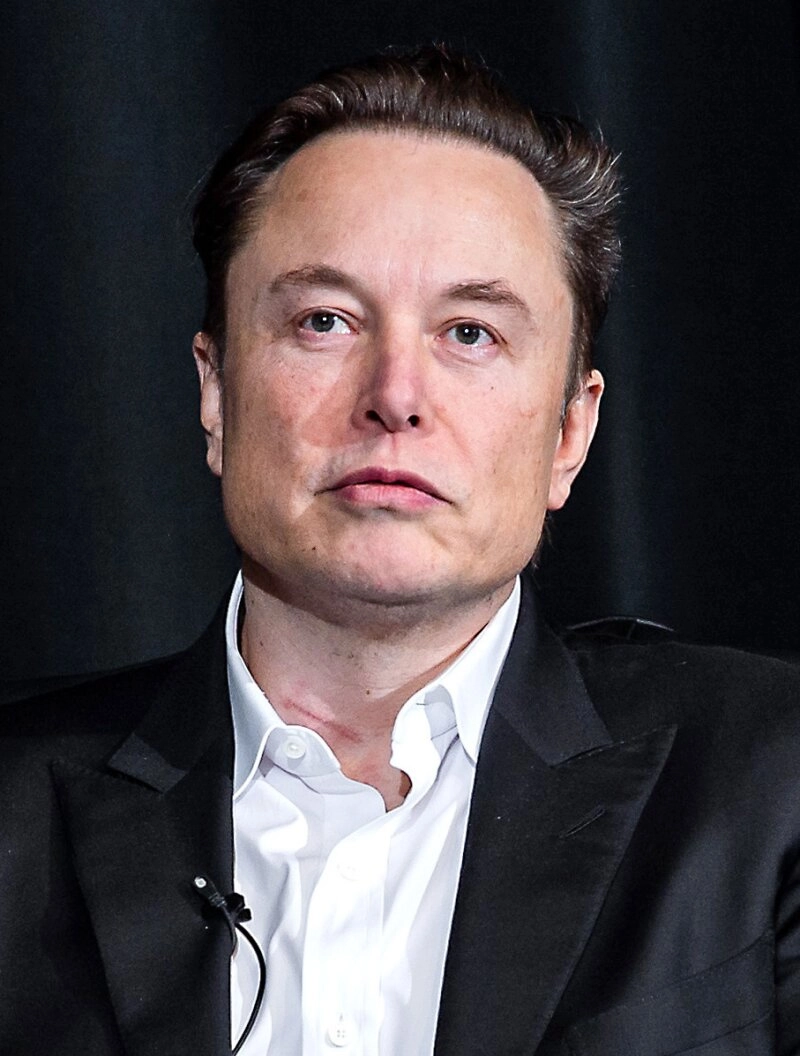 Der Unternehmer und Milliardär Elon Musk