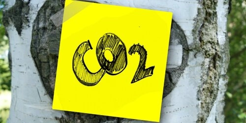 CO2 zu Kohlenstoffnanofasern umwandeln - Klimakrise adé?