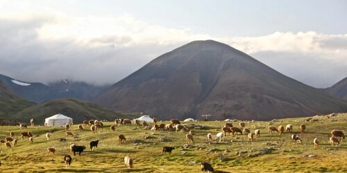 Mongolische Steppe kämpft mit Wetterereignissen
