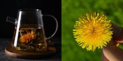 So gesund ist Löwenzahntee!