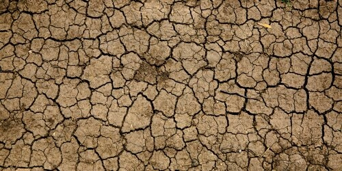 Im Süden Afrikas herrscht extreme Dürre in der Regenzeit