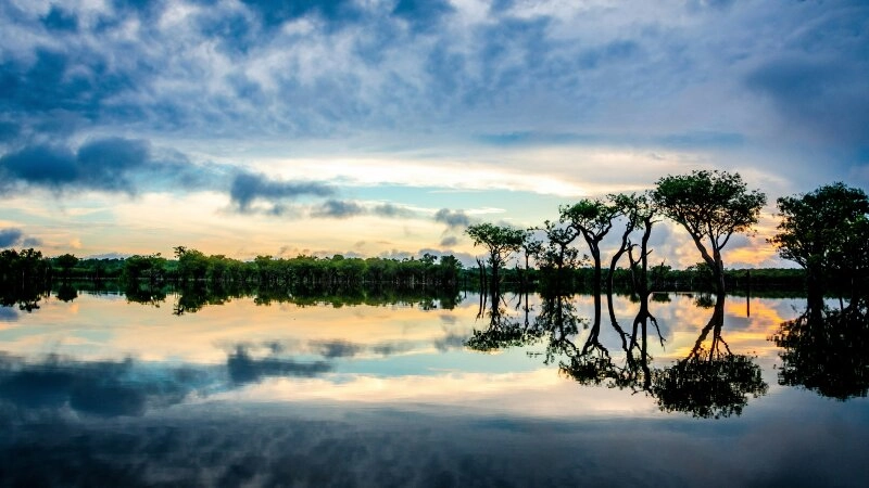 Die Schönheit des Amazonas ist gefährdet.