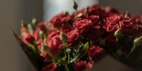 Nachhaltigkeit zum Muttertag:  Strauß oder Topfblumen?