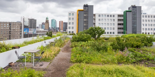 Zurück zur Natur: Die positiven Folgen von grünen Innenstädten und nachhaltigem Stadtmobiliar