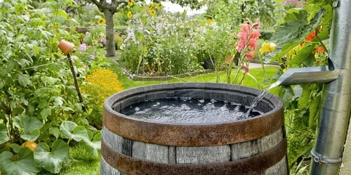 Mit Regenwasser nachhaltig sparen!