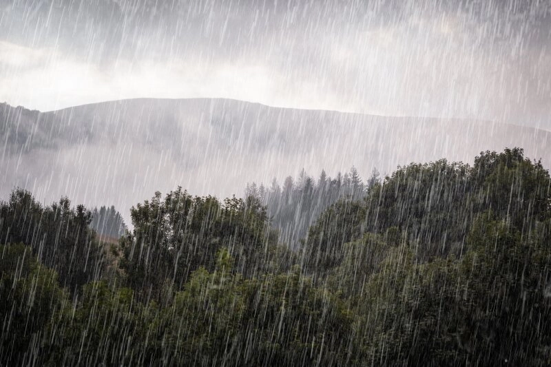 Wichtig für Mensch und Natur – Regen!