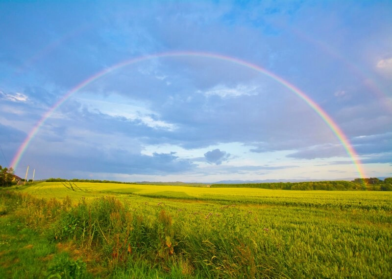 Nach dem Regen kommt der Regenbogen!