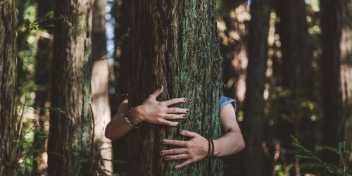 Klimawende: Warum die Zukunft grüner ist, als du denkst