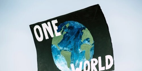Grüne Wende weltweit: Positive Entwicklungen im Kampf für unsere Umwelt
