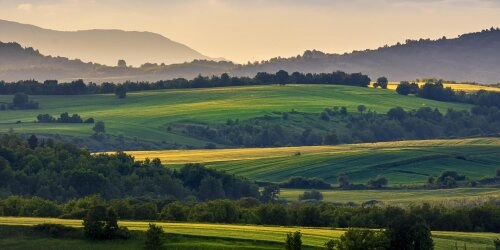 Regenerative Landwirtschaft