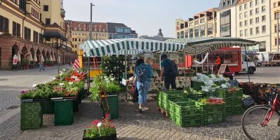 Wochenmarkt Innenstadt auf dem Markt