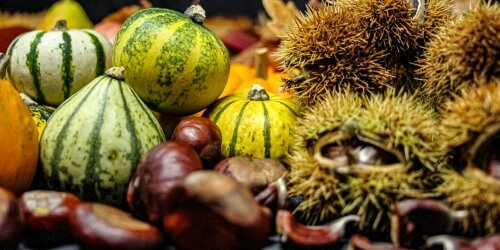 Essbar, giftig, gut zum Basteln? Dein herbstlicher Kastanienguide