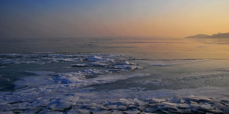 Aufgebrochene Eisschollen schwimmen in der Polarregion.