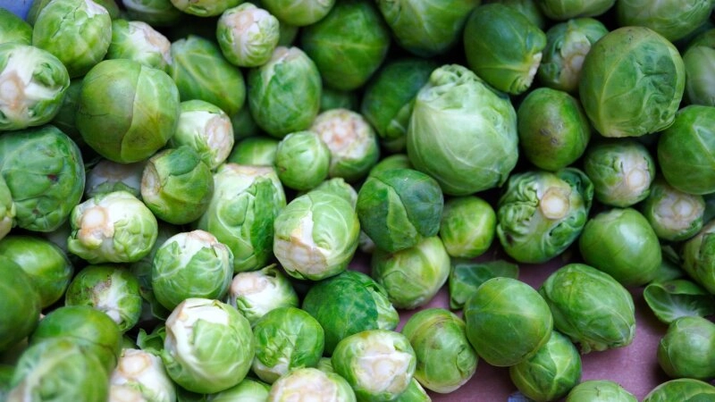 Die perfekte Zeit für Rosenkohl!