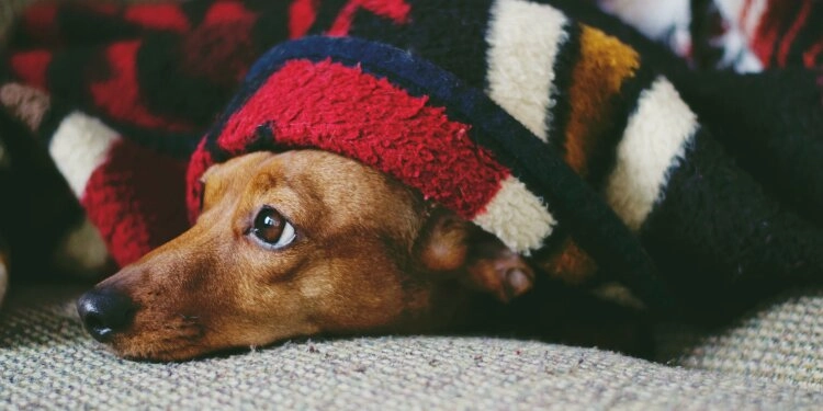 Heizung auslassen und nur noch unter der Decke verstecken? Unsere Tipps schaffen Abhilfe!