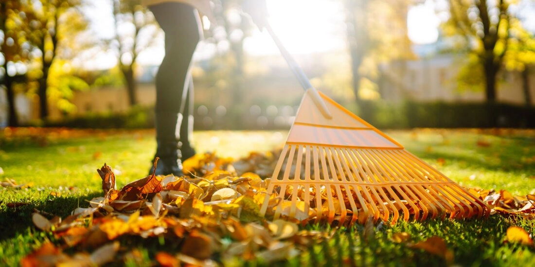 Winterruhe - Tipps für den winterfesten Garten
