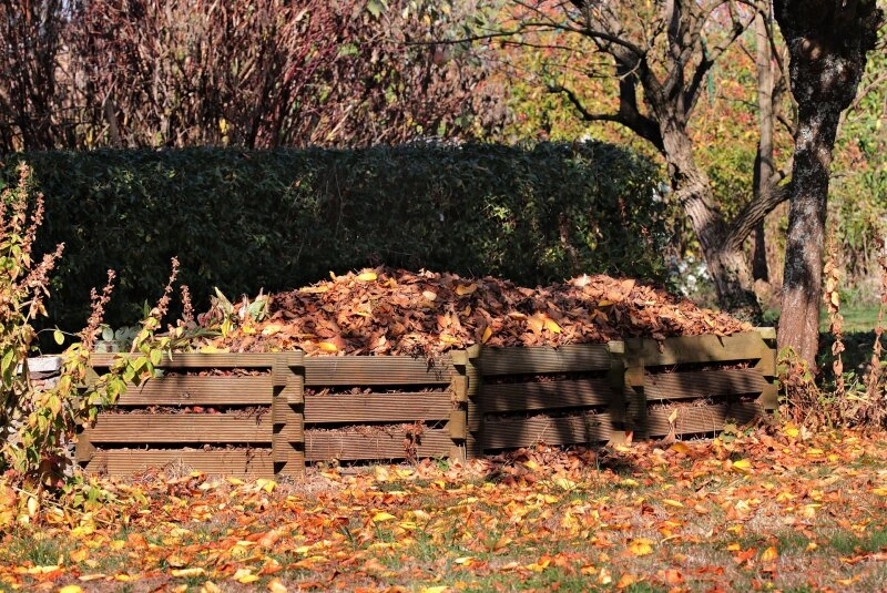 Überschüssiges Laub kann kompostiert und im Frühling wieder als nährst