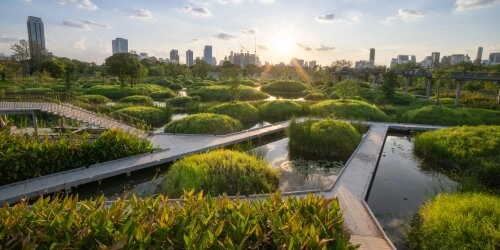 Solarpunk: Utopie für eine nachhaltige Zukunft
