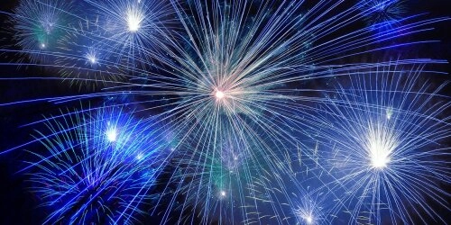 Silvesterfeuerwerk – Katastrophe für Heim- und Wildtiere