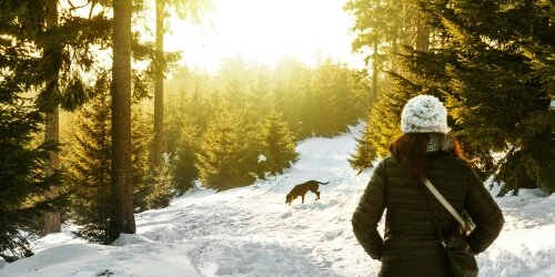 Ein Winterspaziergang um Sonnenlicht zu tanken!