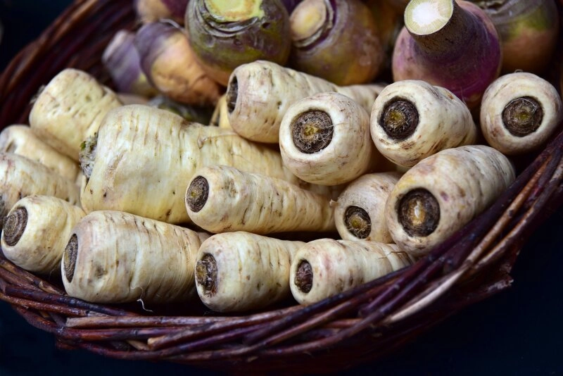 Ein herzhaftes Wurzelgemüse: die Pastinake!
