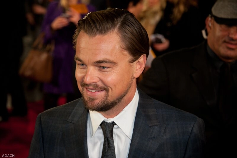 Leonardo DiCaprio, Umweltaktivist