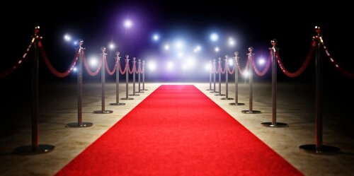 Diese 7 Stars setzen sich für Umweltschutz und Nachhaltigkeit ein