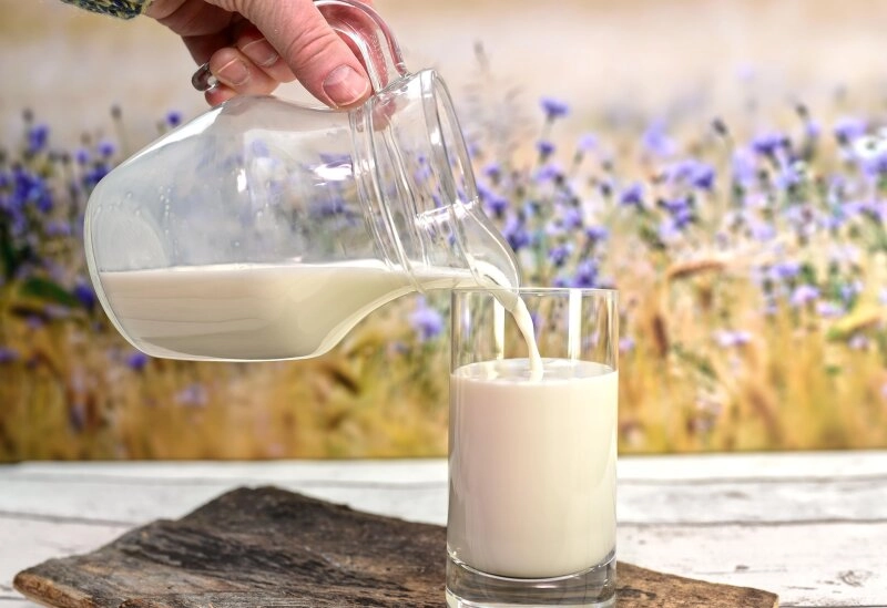 Auch Rohmilch und daraus gewonnene Produkte sind Bestandteil der Gotte