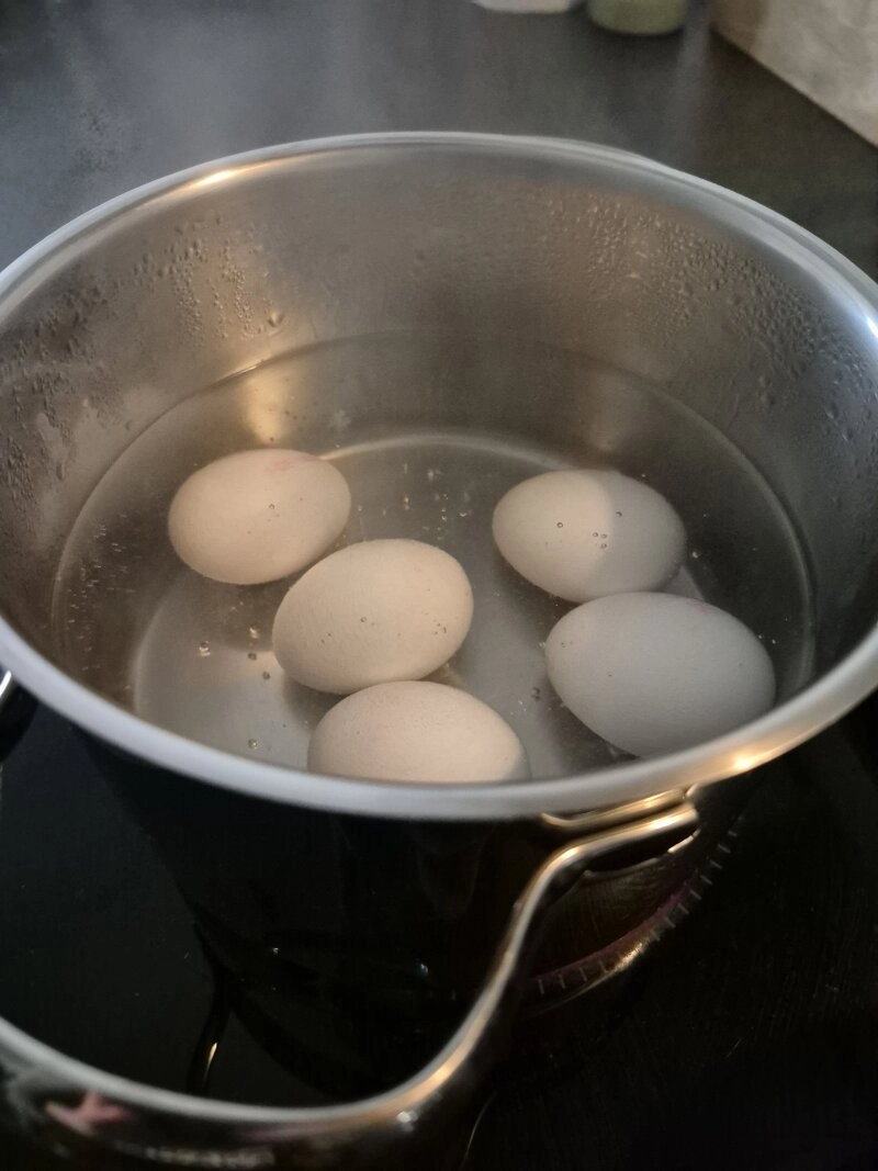 Für unseren Test wurden die Eier vor dem Färben hart gekocht.