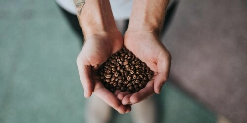 Von wach bis nervös: Das macht Koffein mit deinem Körper
