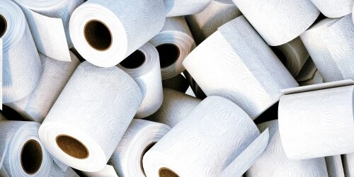 Toilettenpapier – jetzt auch nachhaltig erhältlich!